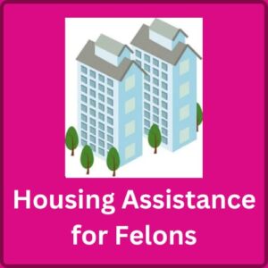 Housing Assistance for Felons