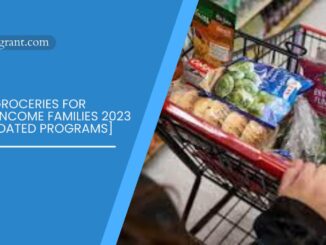 Free Groceries for Low-Income Families 2023 [13 Updated Programs]