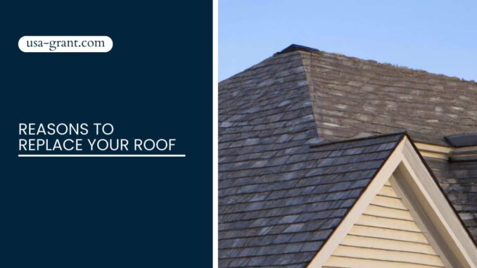 Reasons To Replace Your Roof